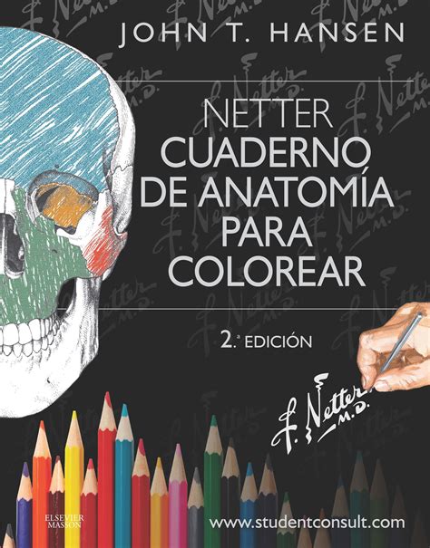 Netters Anatomy Coloring Book Updated Edition Netter Basic Science : Ever Ready Plastic 12 ...