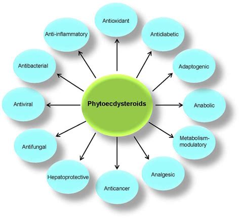 Summary of various biological and pharmacological effects of ...