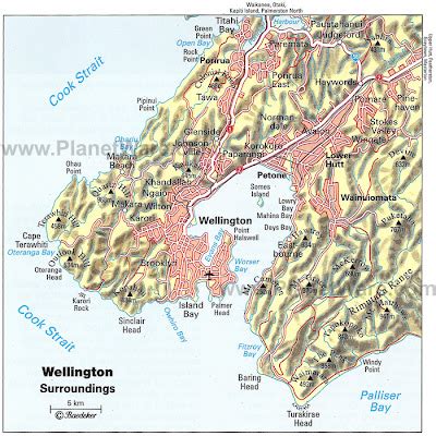 Political Map of Wellington New Zealand | Political Map of New Zealand