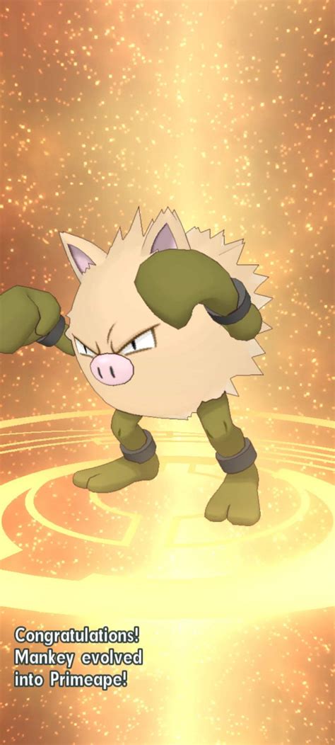 got a shiny primeape in masters | Pokémon Amino