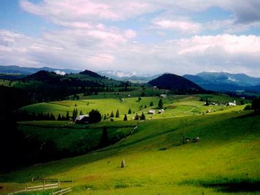 Pensiune Ecoturistica Lunca ilvei