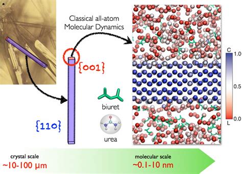 Molecular Modelling & Engineering Group | Molecular Modelling & Engineering Group - UCL ...