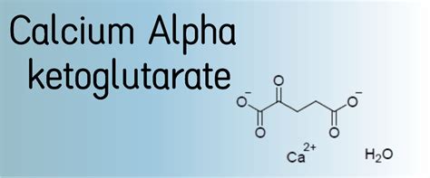 News - Calcium Alpha Ketoglutarate: Unveiling its Anti-Aging Properties