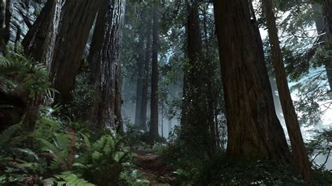 🔥 [38+] Endor Background | WallpaperSafari