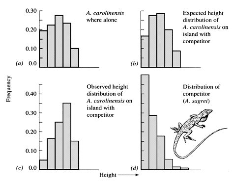 19 Island Biogeography and Conservation Biology