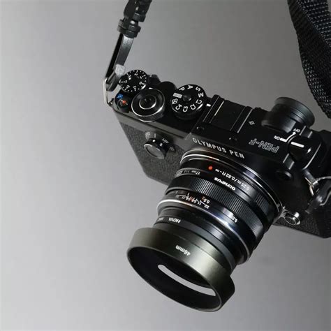 Best Mirrorless Camera For Wildlife Photography 2024 - Elset Horatia