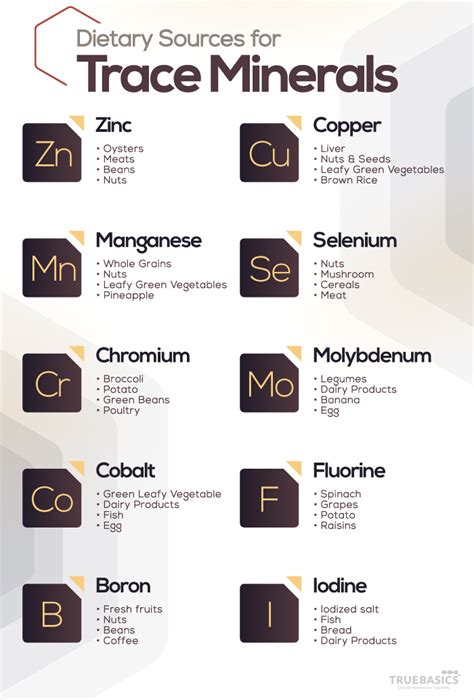 Role of Trace Minerals in Human Body - Truebasics Blog