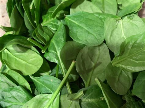 Baby Spinach Nutrition Facts - Eat This Much
