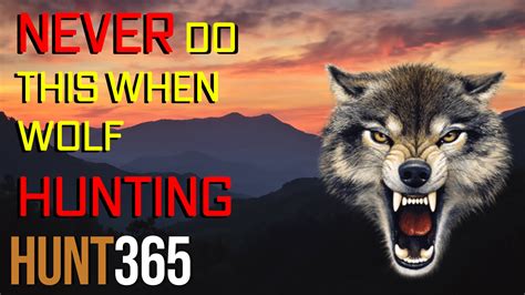 Wolf Hunting Tips and Tricks for Success