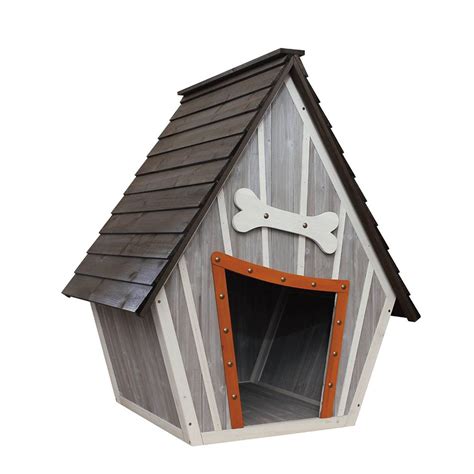 dog kennel with apex roof