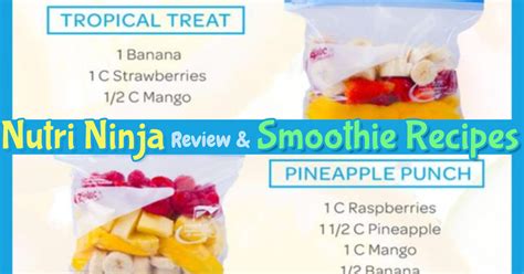 Nutri Ninja with Auto IQ Blender Review & Easy Nutri Ninja Smoothies Recipes - Clever DIY Ideas