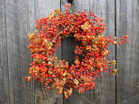 Real Bittersweet Wreath Grapevine Wreath: Natural by Swansdowne