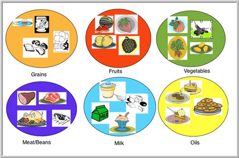 S T R A V A G A N Z A: HOW TO IDENTIFY ANTI-AGING NUTRIENTS