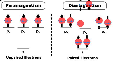 Paramagnetic vs. Diamagnetic Substances - Chemistry - PSIBERG