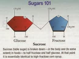 Sugars 101 - Fructose, Glucose, Sucrose, Agave, and High Fructose Corn Syrup Demystified - Dr Sue