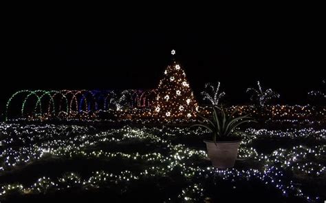 Road Trip To Some Of The Best Christmas Lights In Georgia