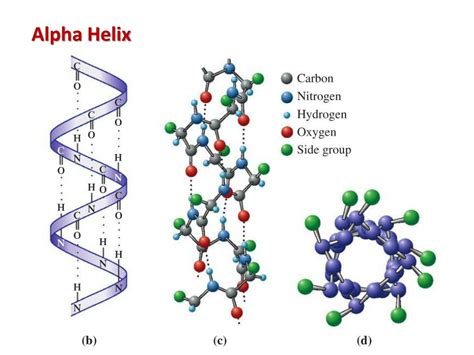 PPT - Chemistry 121(01) Winter 2014 PowerPoint Presentation, free download - ID:885548