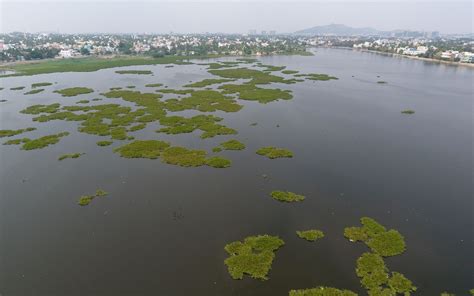 Restoring Chennai’s Lake Sembakkam for water security and improve