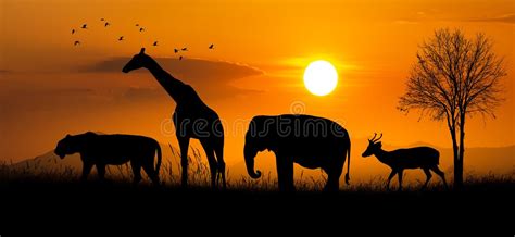 Large Group of African Safari Animals. Wildlife Conservation Concept ...