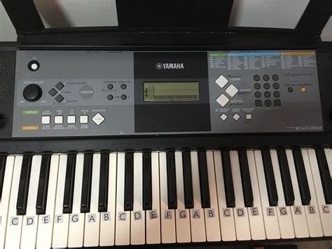 Yamaha PSR-E233 61-Key Keyboard Piano, Hobbies & Toys, Music & Media ...