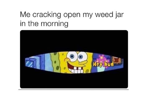 Spongebob Weed Memes