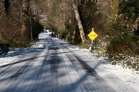 Snow on Ecola State Park Road - Cannon Beach Photo