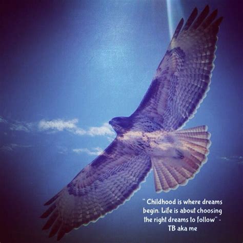 Red Tailed Hawk Quotes. QuotesGram