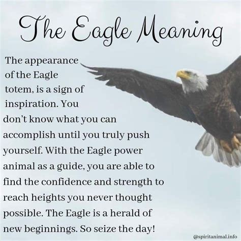 Animal Meanings, Animal Symbolism, Eagle Symbolism, Animal Spirit ...