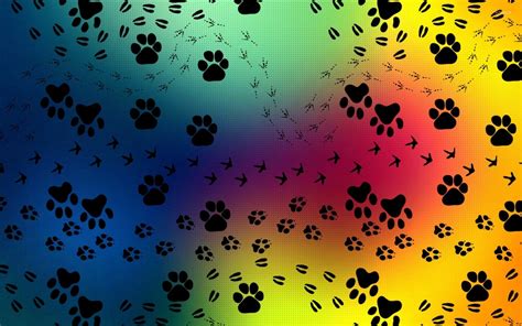 Cat Paw Print Wallpapers - Top Free Cat Paw Print Backgrounds ...