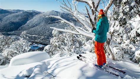 Thredbo has a mountain of choices for the ski season – and it’s not just thrill-seekers who have ...