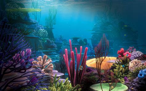 Aquarium Background Pictures (55+ pictures) - WallpaperSet