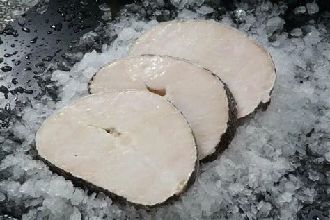 Chilean Sea Bass (patagonian Toothfish) - Buy Seabass,Fresh Sea Bass,Frozen Sea Bass Product on ...