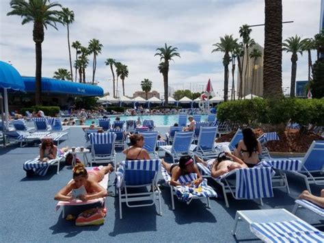 BLU POOL AT BALLY’S - 85 Photos & 79 Reviews - Swimming Pools - 3645 Las Vegas Blvd S, Las Vegas ...