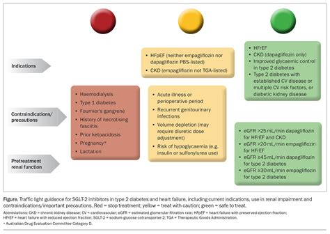 Dapagliflozin A Novel Sglt2 Inhibitor