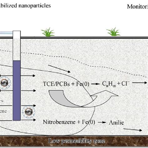 Schematic description of in situ remediation of TCE/PCBs and... | Download Scientific Diagram