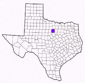 TexasFireSource.com - Palo Pinto County Texas Fire and EMS Department ...