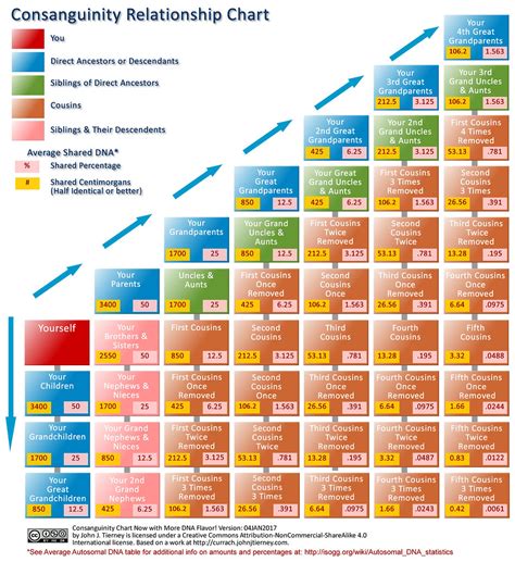 Consanguinity Chart Now With More DNA Flavor! - Currach