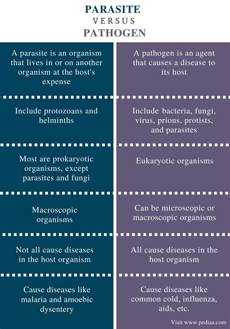 Difference Between Parasite and Pathogen | Definition, Features, Examples, Similarities and ...