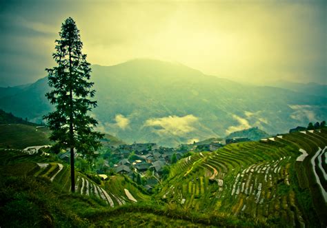 Rice terraces of Longsheng on Behance