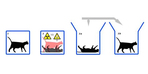 L'esperimento mentale o paradosso del gatto di Schrödinger e la ...