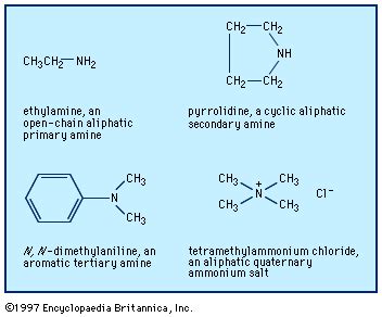 amine reactions chemguide