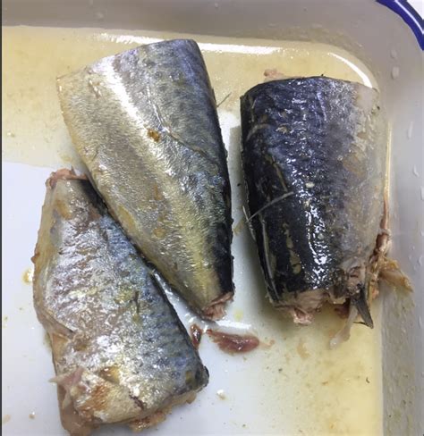 Canned jack Mackerel in Brine to Chile /Sri Lanka,China price supplier - 21food