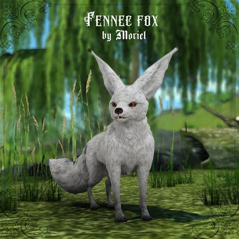 Fox fennec – @lady-moriel on Tumblr