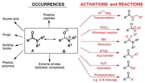 Molecules | Free Full-Text | Amide Activation in Ground and Excited States