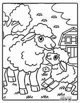 Sheep Coloring Lamb Printable Jump Lambs Wecoloringpage Colouring  sketch template