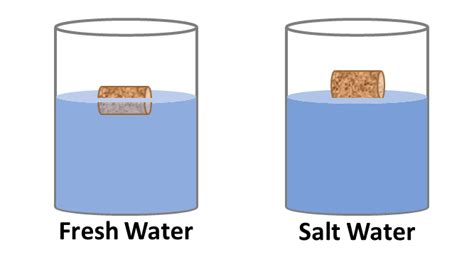 Density Of Salt Water