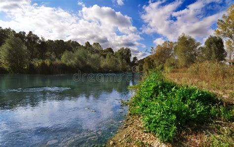 Riverside stock photo. Image of reed, river, rings, flora - 33700422