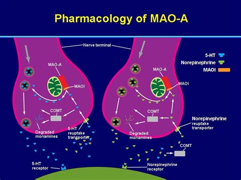 Monoamine Oxidase Inhibitors; MAO Inhibitors; Reversible Inhibitors of Monoamine Oxidase