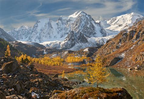 Top 60 Altai Nature Reserve Stock Photos, Pictures, and Images - iStock