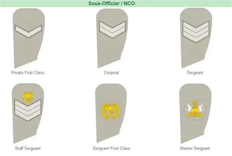 [Latest!] Nigerian Army Ranks & Salary Structure - Oasdom